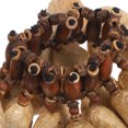 Drum Style Rattle TABLZONE African Tribal Bracelet Nut Shell Handbell Shaker for ce Party ...