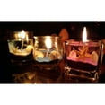 thumbnail image 3 of 2 Packs () CLEAR Handmade Candles DIY Material Gel Candle Supplies, Environmental Plant, 3 of 9