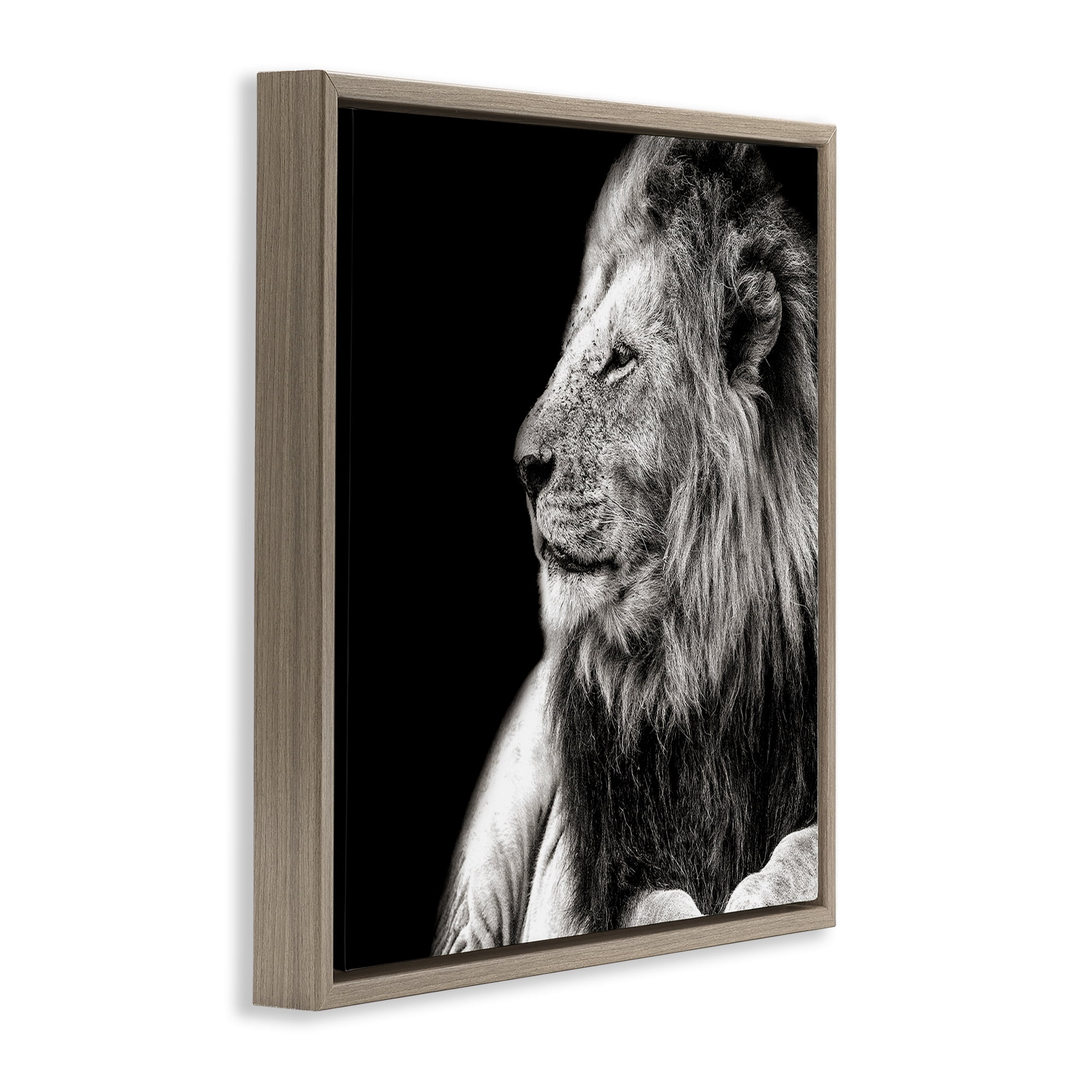 Stupell Industries Lion Portrait on Black Animals Photography Brown Floater Framed Canvas Art Print Wall Art, 25 x 25