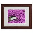 thumbnail image 2 of Trademark Fine Art "Island in Purple" by Kurt Shaffer, Wood Frame, 2 of 3