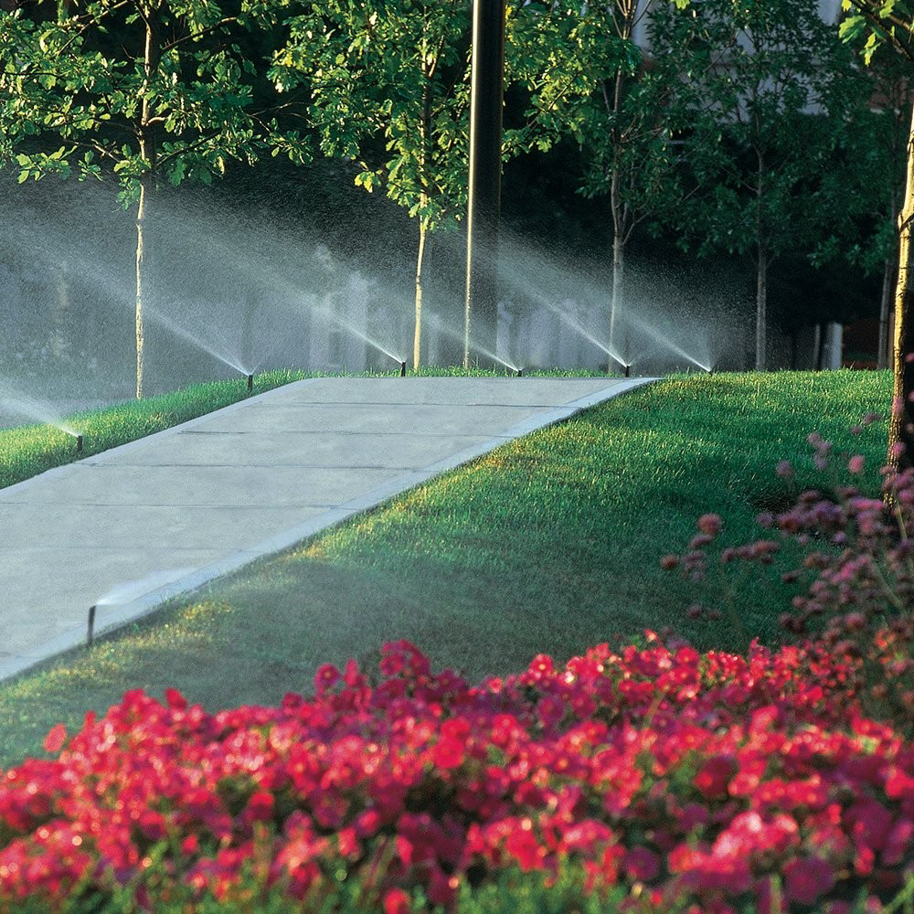 (5) Rain Bird SP25Q18 Pop-Up Sprinkler Quarter Circle Pattern 8-15 ft Spray Distance 2.5-inch Height
