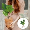 thumbnail image 1 of OUNONA 1Ud Planta Artificial Duradera Y Resistente Para Decorar Balcones, Y Oficinas, 1 of 6