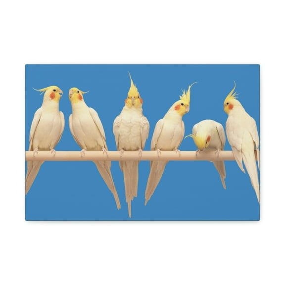 Cockatiel Couple Cockatiel Troop Print Animal Wall Art Wildlife Canvas Prints Wall Art Ready to Hang Unframed