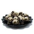 thumbnail image 3 of 20Pcs Halloween Skull Decor Resin Mini Skulls Human Skeleton Skull Head for Halloween Props Craft Bar Home Table Decoration Garden Accessories, 3 of 7