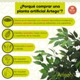 thumbnail image 4 of Planta artificial decorativa moderna Artego Ficus grande 170cm, 4 of 8
