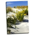 thumbnail image 1 of Gango Home Decor Assateague Beach 6 by Alan Hausenflock (Ready to Hang); One 24x36in Hand-Stretched Canvas, 1 of 4
