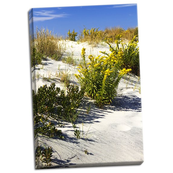 Gango Home Decor Assateague Beach 6 by Alan Hausenflock (Ready to Hang); One 24x36in Hand-Stretched Canvas