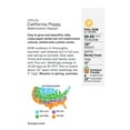 thumbnail image 5 of Burpee Watermelon Heaven California Poppy Flower Seed, 1-Pack, 5 of 6