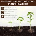 thumbnail image 3 of Soil Activator, Professional Bone Meal Fertilizer, Dirt Health Booster, Liquid Fertilizer for Indoor & Outdoor Plants Premium Soil Activated Treasure for Potting Mix, and Seedling Compost(120g-4Pcs), 3 of 7