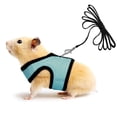 thumbnail image 2 of Correa para mascota pequeña talla L - Azul cielo Adepaton 220879-9, 2 of 9