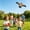 Bronze, variant on Dynamic Kite with Fishing Reel Spool Poles Kite Beach Angling Themed Flying Dynamic Wing Kites with Rod Line Dynamic Winds Flying for Outdoor Beach Kite for Family Outdoor Activities