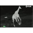 thumbnail image 4 of FLIR Scout III 640 30Hz 640 x 480 Video Night Vision Imaging Thermal Monocular, 4 of 10
