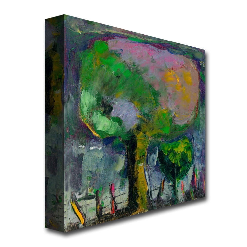 Trademark Fine Art "Manzano de Noche" Canvas Art by Boyer