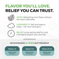 thumbnail image 6 of Quitine Nicotine Gum 2mg Mint, 240 Count, Stop Smoking Aid, 6 of 6