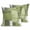 Green, variant on Throw Pillow Covers 18x18 Inch Set of 2 Sage Green Oil Painting Decorative Pillows Cushion Case Soft Square Pillowcases Abstract Graffiti Art Throw Pillows for Couch Sofa Bed Chair Home Decor