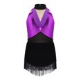 thumbnail image 4 of Doomiva Girls Sparkly Latin Dance Dress Sequin Sleeveless Fringe Tassel Color Block Cha Cha Jazz Dance Dress for Performance Purple 16, 4 of 7