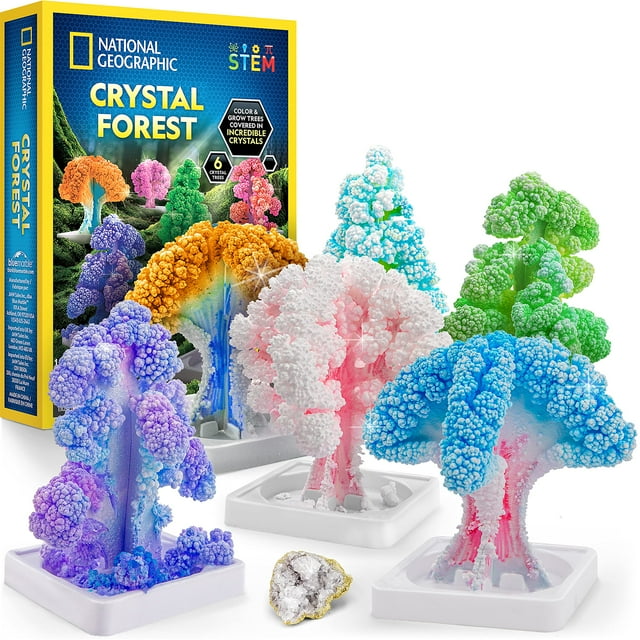 Kit de cultivo Crystal para niños de NATIONAL GEOGRAPHIC con material de arte