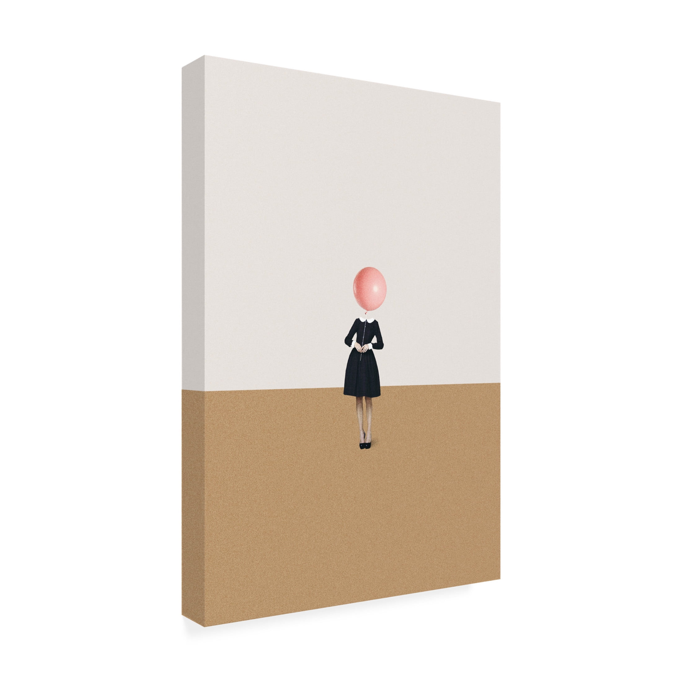 Trademark Fine Art Maarten Leon Obvious Imperfections Canvas Wall Art