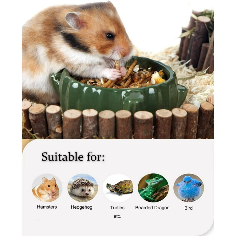 Can Dwarf Hamsters Eat Mealworms