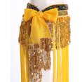 thumbnail image 5 of Haitryli Womens Belly Dance Skirt Fringed Hip Scarf Colorful Waistband Tiered Sequin Tassel Waist Chain Gold One Size, 5 of 7