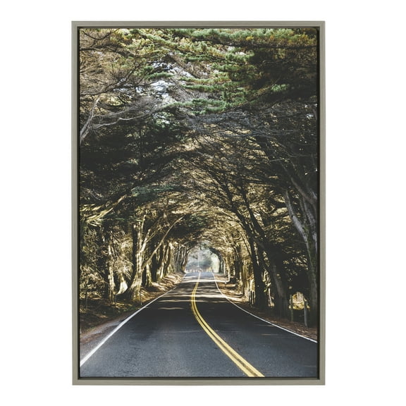 Kate and Laurel Sylvie Road Tripping Framed Canvas Wall Art by Patricia Hasz of Patricia Rae Photography, 23x33 Gray, Decorative Nature Art for Wall