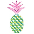 thumbnail image 3 of DeRice, Julie 12x14 Black Modern Framed Museum Art Print Titled - Punched Up Pineapple II, 3 of 5