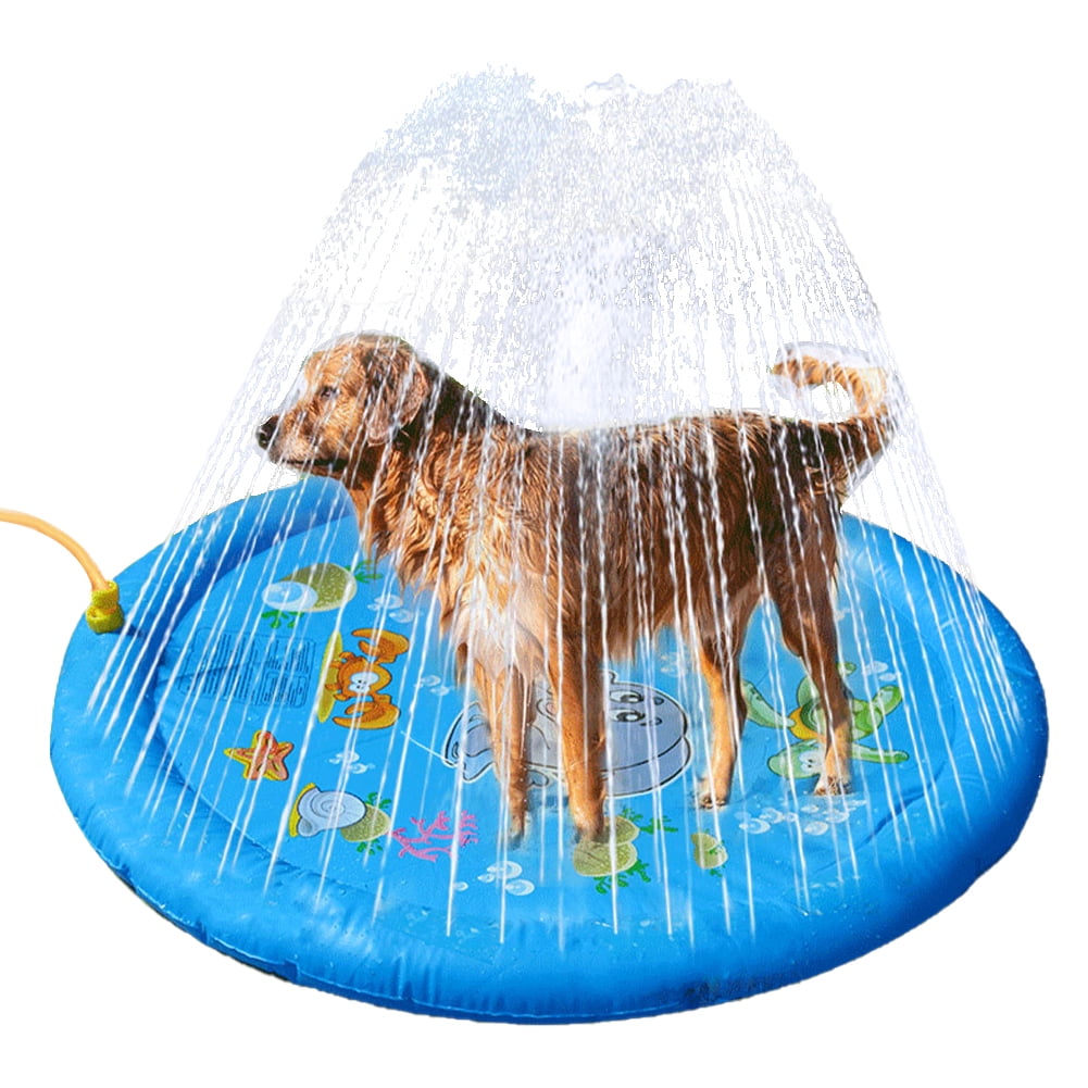 dog sprinkler toy