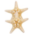 thumbnail image 4 of COOPHYA Handmade Five-Pointed Sea Star Hair Clip 2Pcs for Stable Hair Clipping, 4 of 8