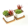 thumbnail image 3 of K-Cliffs Set of 2 White Square Ceramic Succulent  Pots with Bamboo Trays,  2 3.7L x 3.7W x 2.6H inches; Pot - 3.4L x 3.4W x 2.6H inches; Bamboo Saucer - 3.7L x 3.7W x 0.5H, 3 of 8