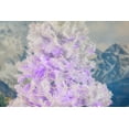 thumbnail image 6 of Novelty Lights 50 Light Purple LED Christmas Mini Light Set (White Wire, 11 feet), 6 of 6