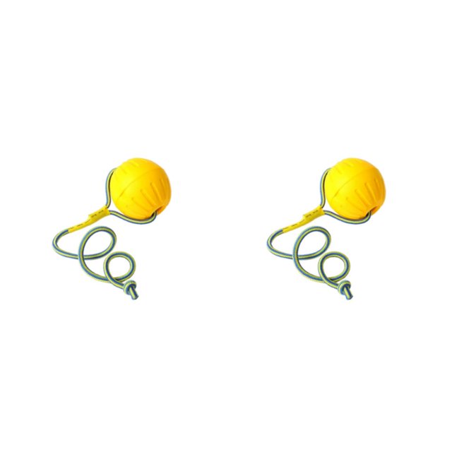 Methold Bola para masticar, juguete para masticar, suministros para perros, simplemente use una superficie lisa, sin rebabas, al aire libre, Type1 NO1