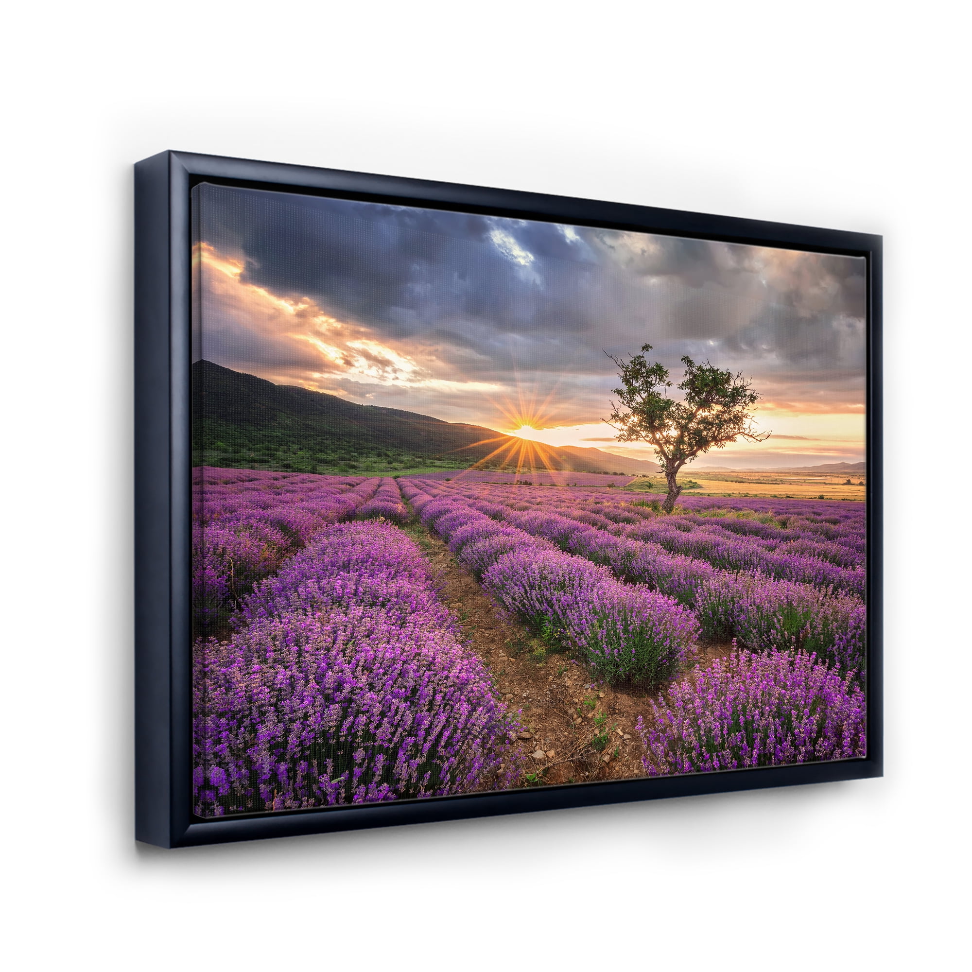 Designart 'Dramatic Clouds and Sunrise Over Lavender Field VIII' Farmhouse Framed Canvas Wall Art Print