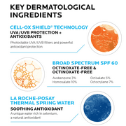 La Roche-Posay Anthelios Melt-In Milk Sunscreen for Face and Body SPF 100, 5.0 fl oz