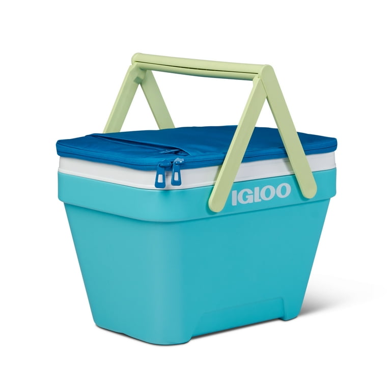 Igloo sales picnic cooler