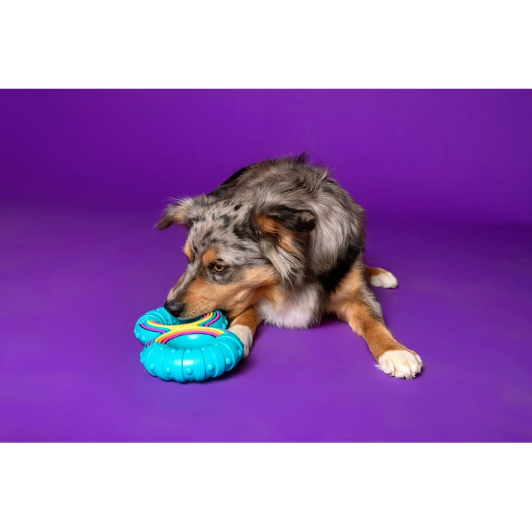 Multipet Grooverz Colorful TPR Figure 8 Dog Toy, Assorted Colors