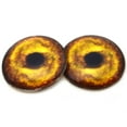 thumbnail image 4 of Golden Lion Glass Eyes, 4 of 9
