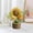 A, variant on Crochet Flowers Cute Potted Flower,Mini Flower Bouquet for Mom Wife, Cute Desk Decor for Women,Artificial Handmade Flowers for Car Dashboard,Home Office Decoration