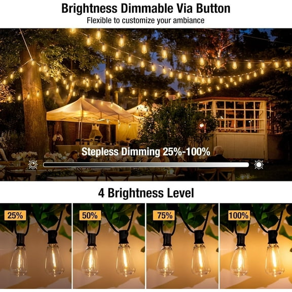 THESG-60FT LED Outdoor String Lights with Dimmer, Waterproof Patio Lights with ST38 Vintage Edison Bulbs, Warm White Outside Hanging Light with Timer for Yard Gazebo Party
