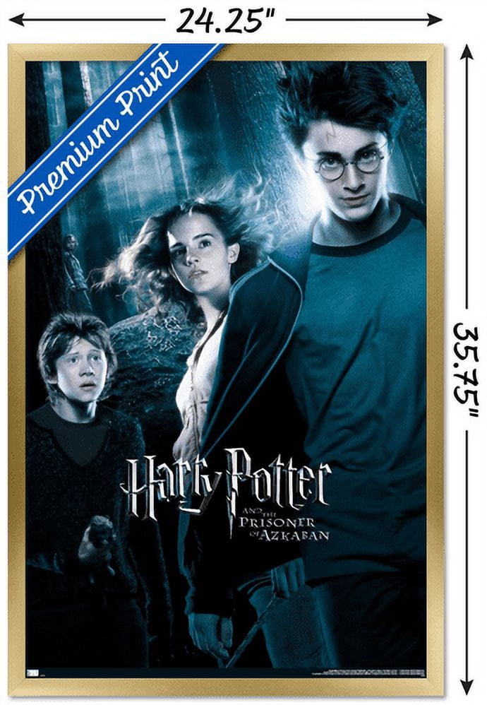 Harry Potter and the Prisoner of Azkaban - Forest One Sheet Wall Poster, 22.375" x 34", Framed