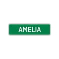 thumbnail image 1 of Amelia Girls Children Indoor Outdoor Unique Wall Novelty Name Letter Printed Plaque Decoration Label Aluminum Metal Sign 4"x18", 1 of 1