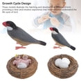 thumbnail image 3 of Simulated Bird Models, Vibrant Colors 4 Pieces Set Bird Model Toy PVC Material  for Sand Box Decoration, 3 of 7