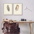 thumbnail image 2 of Stupell Industries Owl Breeds Latin Study Page Detailed Bird Animal Graphic Art Gray Framed Art Print Wall Art, Set of 2, Design by H. L. Meyer, 2 of 8