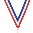 Basketball With Ribbon Express Medals Basketball Gold Medals Trophy Award with Neck Ribbons ...