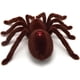 thumbnail image 5 of Regalo para la familia Gatos Perros Araña de control remoto para bromas o trucos y juguetes prácticos de broma sorpresa Halloween Día de los Inocentes, 5 of 5