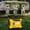 Yellow + Steel, variant on Portable Inverter Generator 1200W Ultra-Quiet Gas Engine for Camping, EPA Compliant Eco-Mode Backup Power with Lightweight Aluminium Design