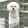 thumbnail image 3 of 2025 Upgraded All-Weather Pet Boots Hot Pavement Dog Cat Shoes Non- Durable Outdoor Indoor Use, 3 of 4