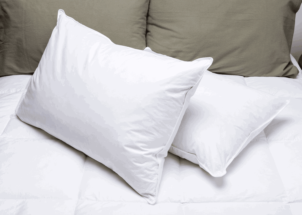 pillowtex down pillows