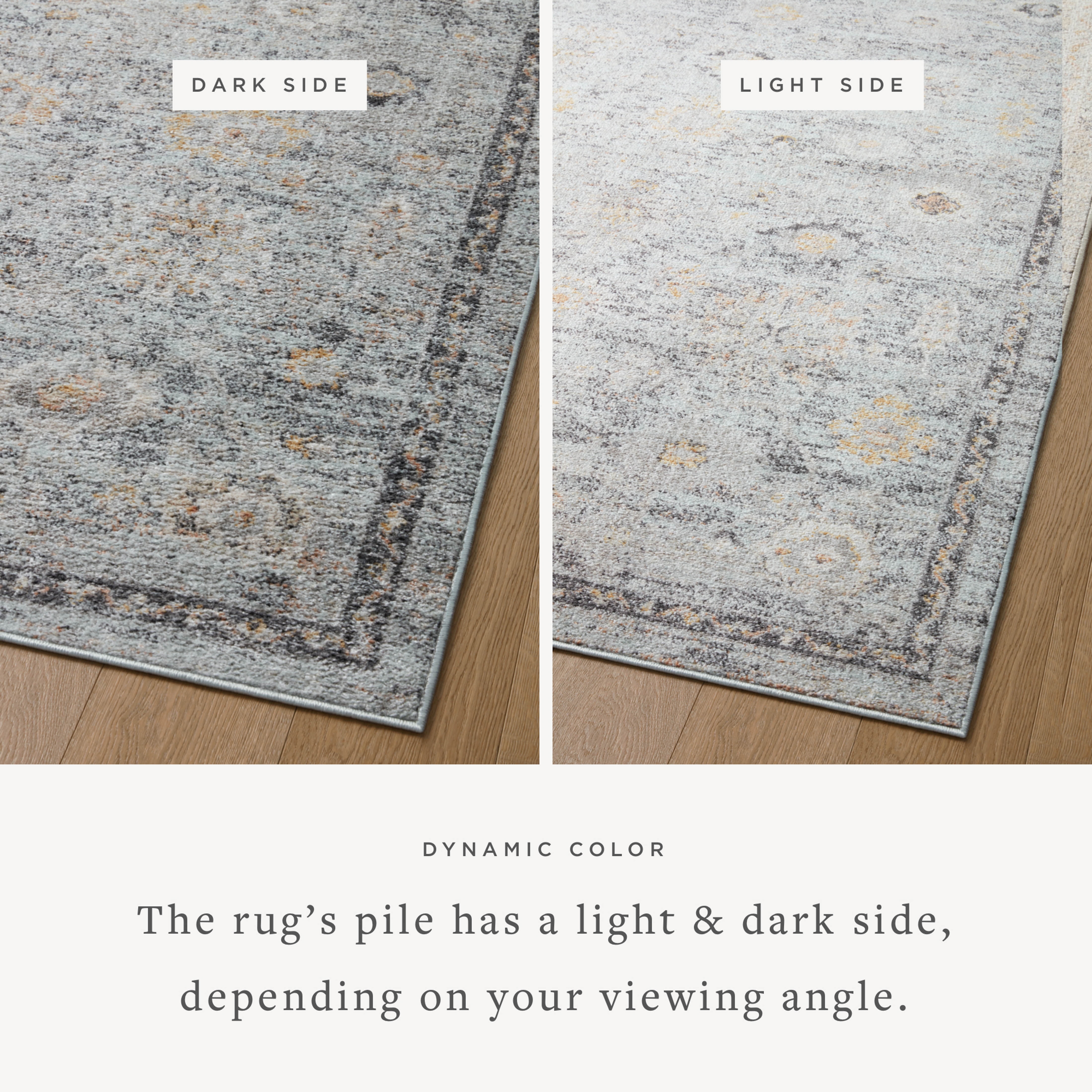 Loloi Monroe Sky / Gold 11'-6" x 15' Area Rug
