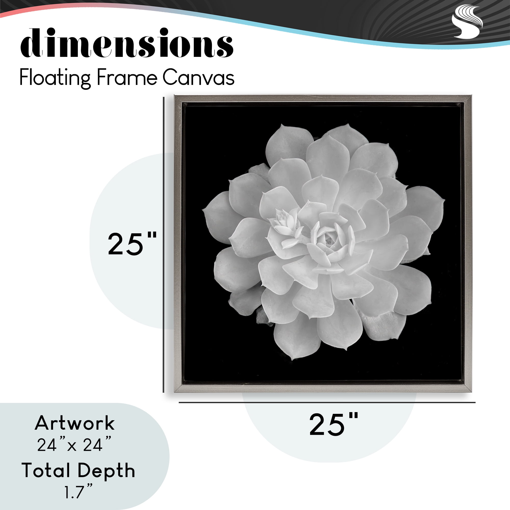 Pure White Succulent Contrast Gray Framed Floater Canvas Wall Art, design by Phillip Flowers