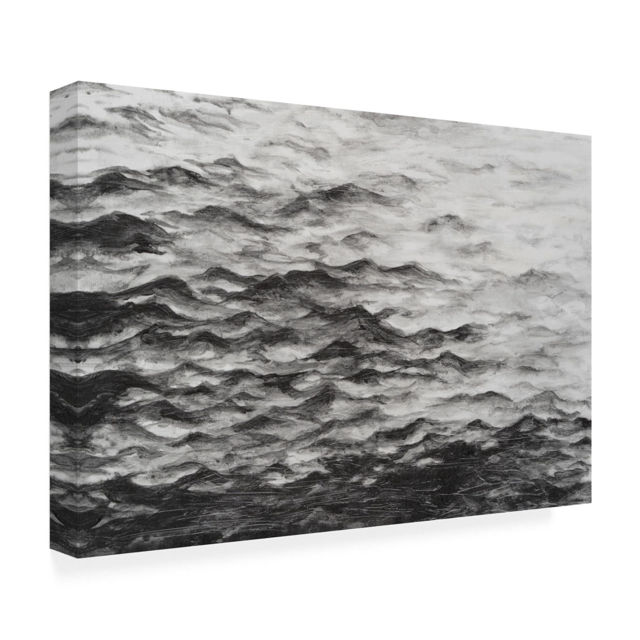 Trademark Fine Art Michael Willett Surface Water I Canvas Wall Art